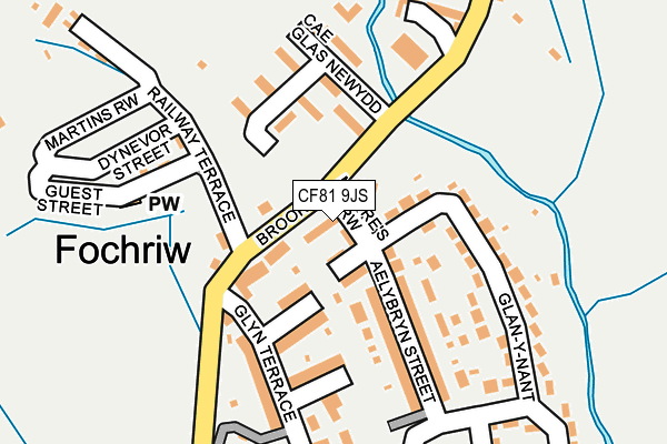 CF81 9JS map - OS OpenMap – Local (Ordnance Survey)