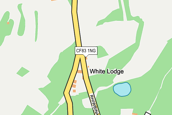 CF83 1NG map - OS OpenMap – Local (Ordnance Survey)