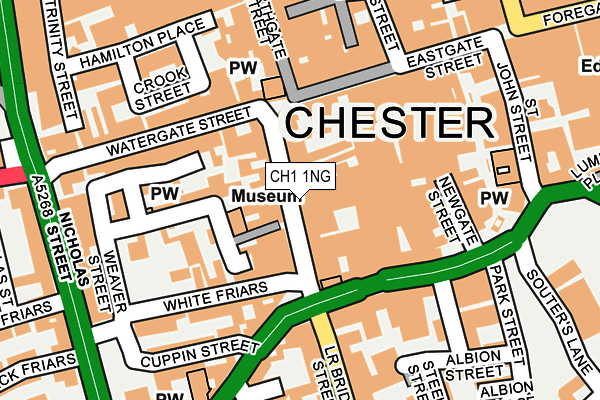 CH1 1NG map - OS OpenMap – Local (Ordnance Survey)