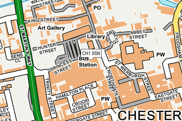 CH1 9SN map - OS OpenMap – Local (Ordnance Survey)