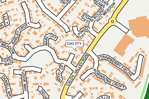 CH3 5TY map - OS OpenMap – Local (Ordnance Survey)