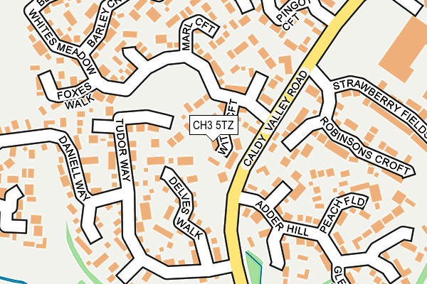 CH3 5TZ map - OS OpenMap – Local (Ordnance Survey)