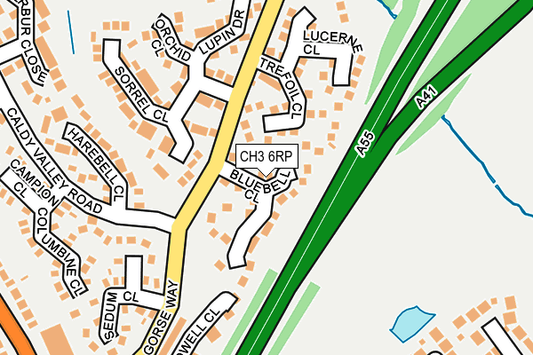 CH3 6RP map - OS OpenMap – Local (Ordnance Survey)