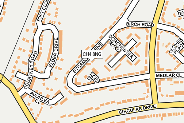 CH4 8NG map - OS OpenMap – Local (Ordnance Survey)