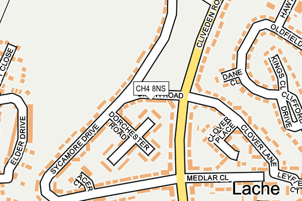 CH4 8NS map - OS OpenMap – Local (Ordnance Survey)