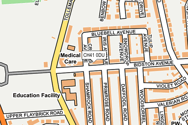 CH41 0DU map - OS OpenMap – Local (Ordnance Survey)