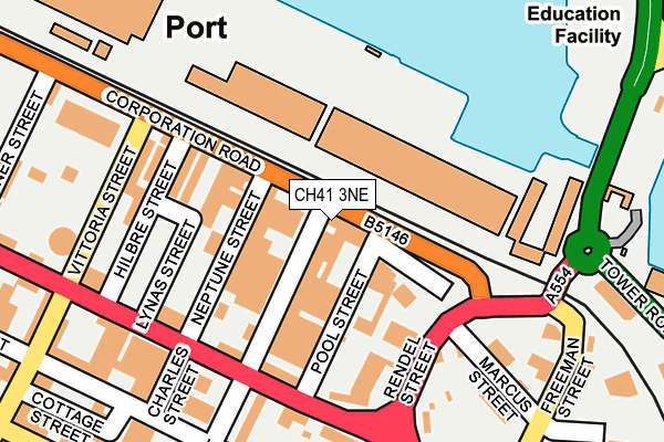 CH41 3NE map - OS OpenMap – Local (Ordnance Survey)