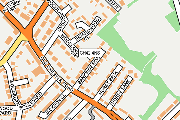 CH42 4NS map - OS OpenMap – Local (Ordnance Survey)