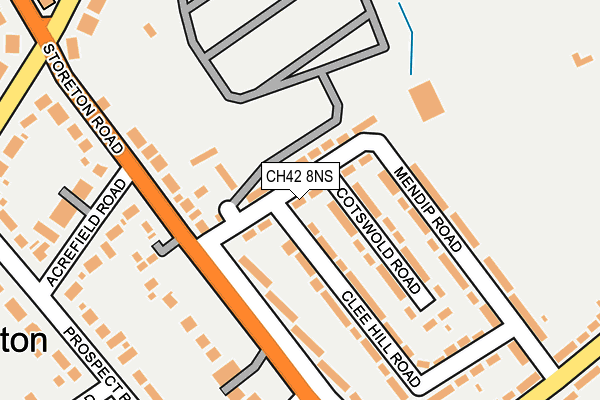 CH42 8NS map - OS OpenMap – Local (Ordnance Survey)