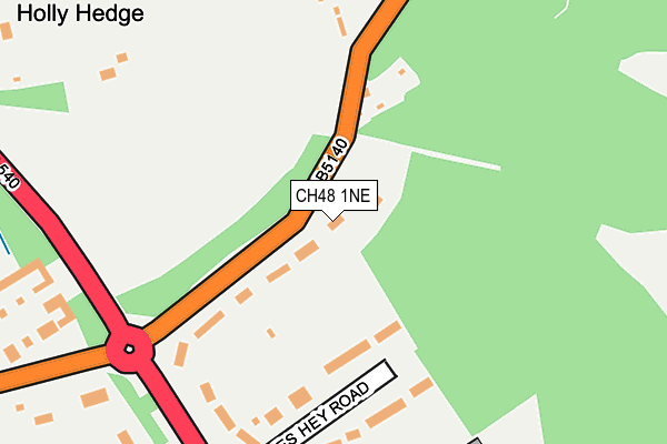 CH48 1NE map - OS OpenMap – Local (Ordnance Survey)
