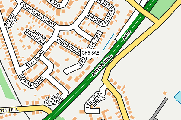 CH5 3AE map - OS OpenMap – Local (Ordnance Survey)