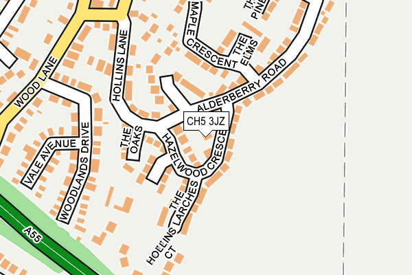 CH5 3JZ map - OS OpenMap – Local (Ordnance Survey)