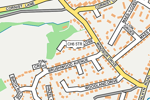 CH6 5TR map - OS OpenMap – Local (Ordnance Survey)