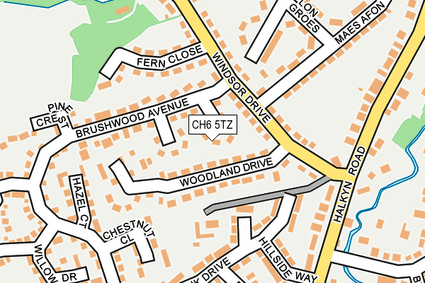 CH6 5TZ map - OS OpenMap – Local (Ordnance Survey)