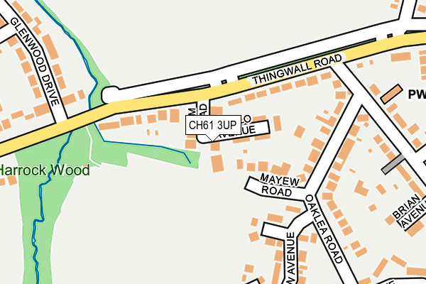 CH61 3UP map - OS OpenMap – Local (Ordnance Survey)