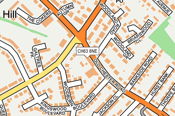 CH63 8NE map - OS OpenMap – Local (Ordnance Survey)