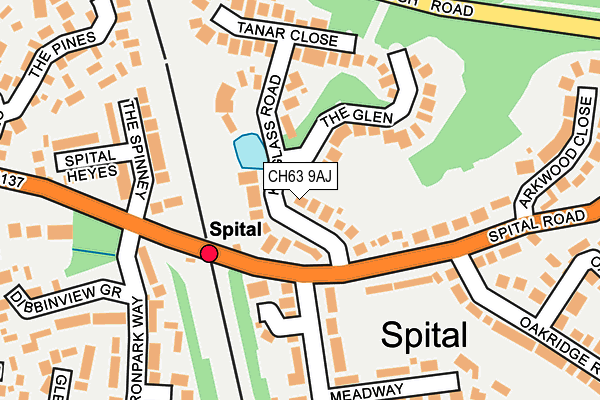 CH63 9AJ map - OS OpenMap – Local (Ordnance Survey)