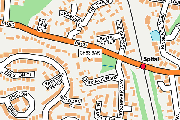 CH63 9AR map - OS OpenMap – Local (Ordnance Survey)