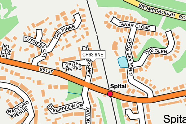CH63 9NE map - OS OpenMap – Local (Ordnance Survey)