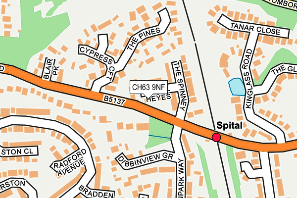 CH63 9NF map - OS OpenMap – Local (Ordnance Survey)