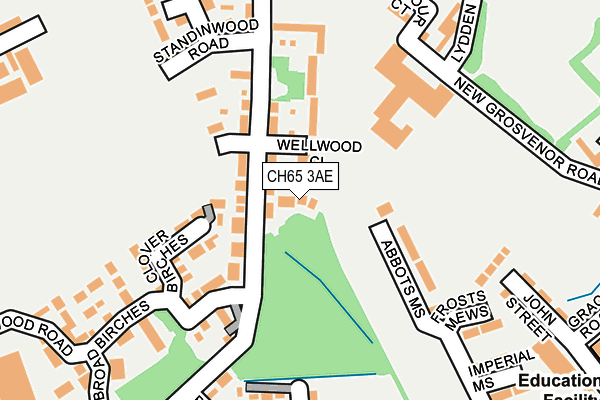 CH65 3AE map - OS OpenMap – Local (Ordnance Survey)