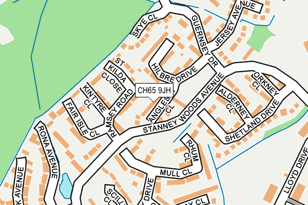 CH65 9JH map - OS OpenMap – Local (Ordnance Survey)