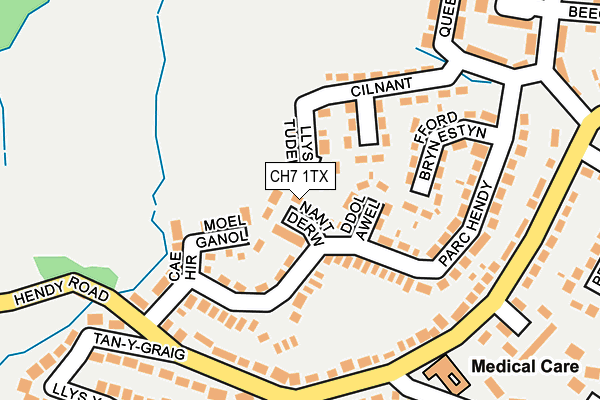 CH7 1TX map - OS OpenMap – Local (Ordnance Survey)