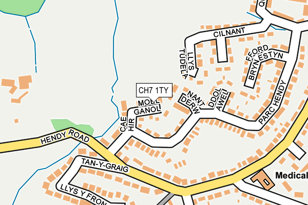 CH7 1TY map - OS OpenMap – Local (Ordnance Survey)