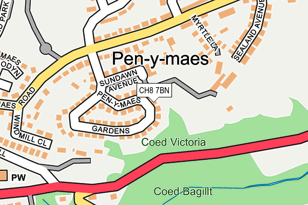 CH8 7BN map - OS OpenMap – Local (Ordnance Survey)