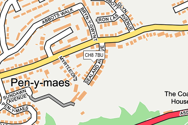 CH8 7BU map - OS OpenMap – Local (Ordnance Survey)