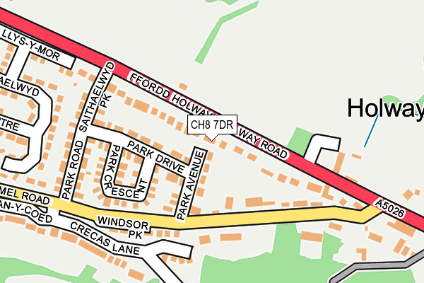 CH8 7DR map - OS OpenMap – Local (Ordnance Survey)