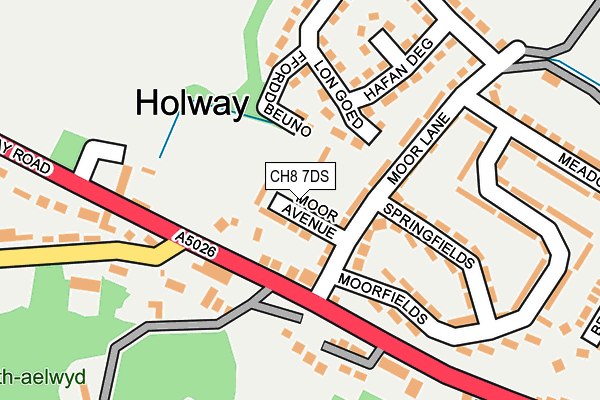 CH8 7DS map - OS OpenMap – Local (Ordnance Survey)