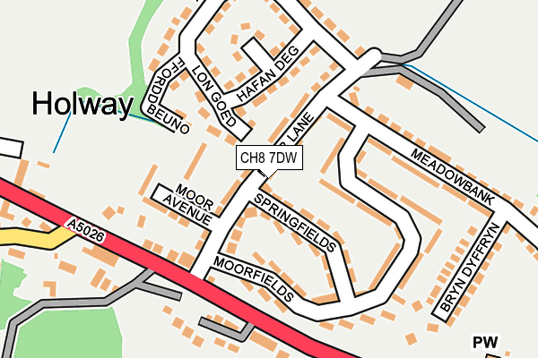 CH8 7DW map - OS OpenMap – Local (Ordnance Survey)