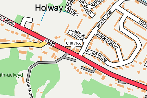 CH8 7NA map - OS OpenMap – Local (Ordnance Survey)