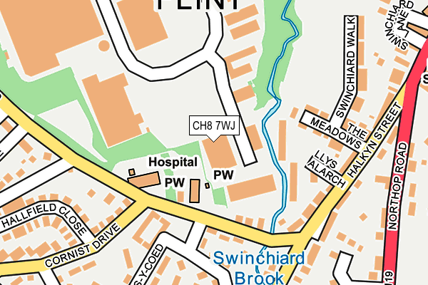 CH8 7WJ map - OS OpenMap – Local (Ordnance Survey)