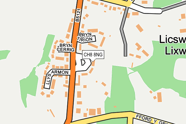 CH8 8NG map - OS OpenMap – Local (Ordnance Survey)