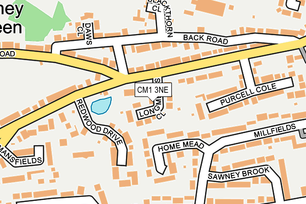 CM1 3NE map - OS OpenMap – Local (Ordnance Survey)