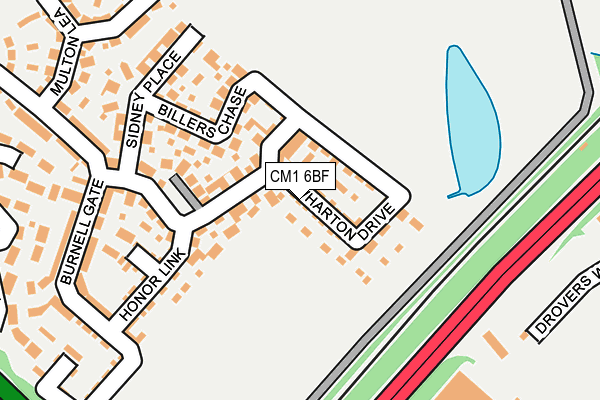 CM1 6BF map - OS OpenMap – Local (Ordnance Survey)