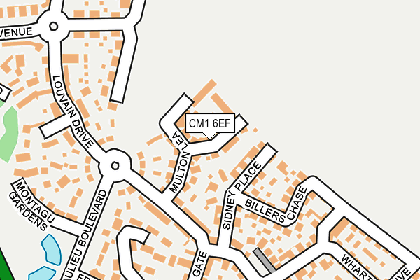 CM1 6EF map - OS OpenMap – Local (Ordnance Survey)