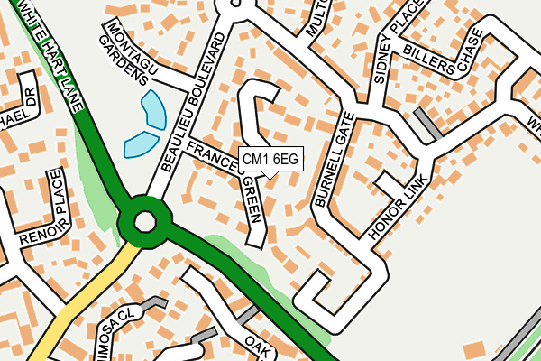 CM1 6EG map - OS OpenMap – Local (Ordnance Survey)
