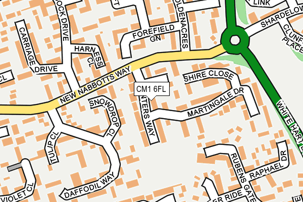 CM1 6FL map - OS OpenMap – Local (Ordnance Survey)