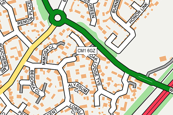 CM1 6GZ map - OS OpenMap – Local (Ordnance Survey)