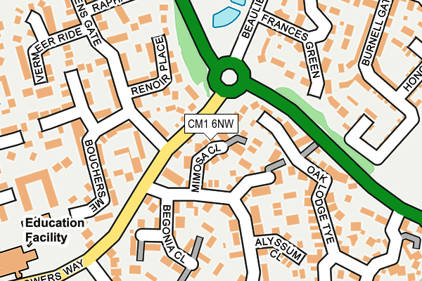 CM1 6NW map - OS OpenMap – Local (Ordnance Survey)