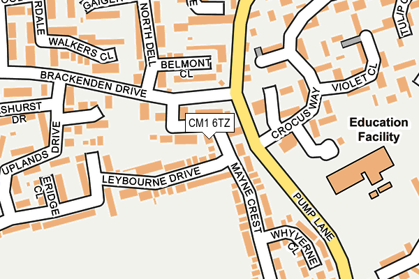 CM1 6TZ map - OS OpenMap – Local (Ordnance Survey)