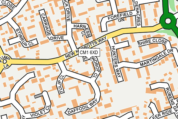 CM1 6XD map - OS OpenMap – Local (Ordnance Survey)