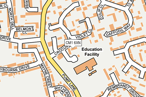 CM1 6XN map - OS OpenMap – Local (Ordnance Survey)