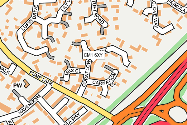 CM1 6XY map - OS OpenMap – Local (Ordnance Survey)