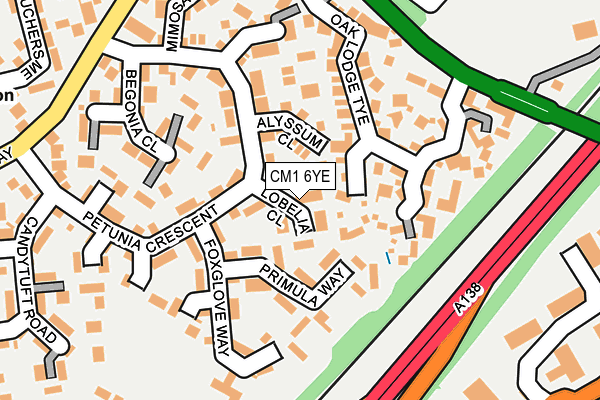 CM1 6YE map - OS OpenMap – Local (Ordnance Survey)