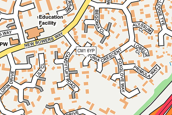 CM1 6YP map - OS OpenMap – Local (Ordnance Survey)