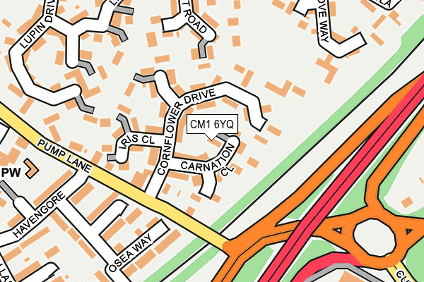 CM1 6YQ map - OS OpenMap – Local (Ordnance Survey)